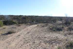 12834 Shin Oak Rd (4)