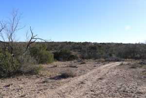 12834 Shin Oak Rd (6)