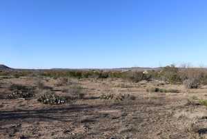 12834 Shin Oak Rd (7)