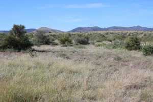 Tract 91 Sierra la Rana (8)