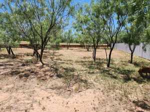 12530 W Hwy 158 (6)