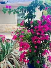 4202 Kensington Creek (3)