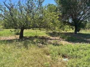 7705 Whipoorwill Way (4)