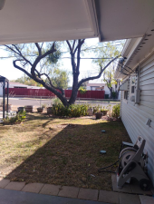 1116 Clairmont St (15)