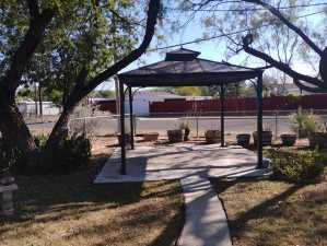 1116 Clairmont St (9)