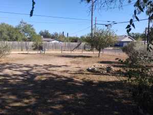 1116 Clairmont St (10)