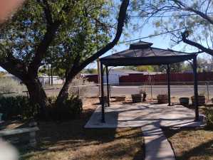 1116 Clairmont St (12)