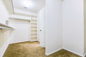 4245 Green Meadow Dr (19)