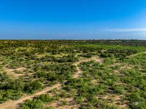 1072 Private Rd 3312 (43)