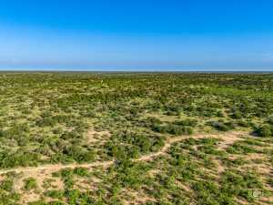 1072 Private Rd 3312 (47)