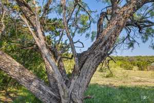 1072 Private Rd 3312 (33)