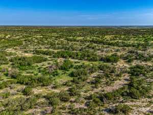 1072 Private Rd 3312 (74)