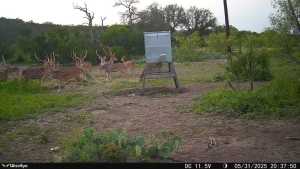 1072 Private Rd 3312 (2)