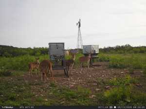 1072 Private Rd 3312 (76)