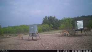 1072 Private Rd 3312 (3)