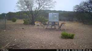 1072 Private Rd 3312 (5)