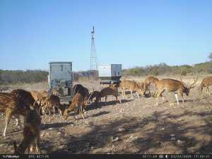 1072 Private Rd 3312 (77)