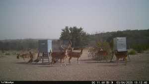 1072 Private Rd 3312 (6)