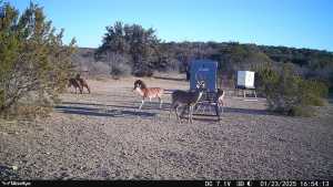 1072 Private Rd 3312 (7)