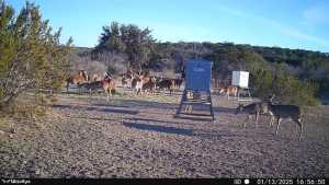 1072 Private Rd 3312 (8)