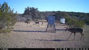 1072 Private Rd 3312 (9)