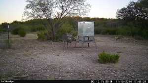 1072 Private Rd 3312 (11)