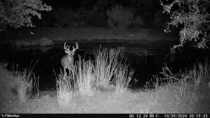 1072 Private Rd 3312 (12)