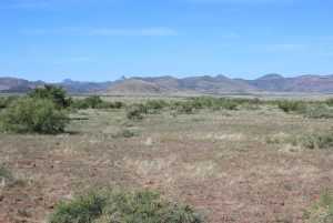 Tract 94 Sierra la Rana (8)