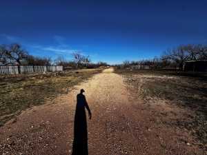 4312 Armstrong St (23)