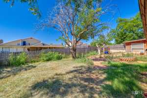 2819 Lindenwood Dr (29)