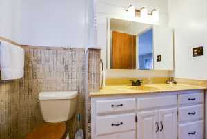 1710 Shady Point Circle Dr (16)