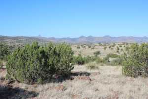 TR 111 Sierra la Rana (7)