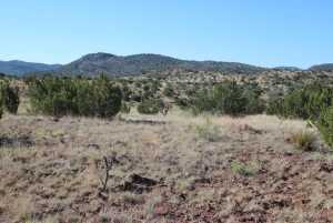 TR 111 Sierra la Rana (8)