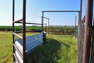 11477 FM 380 (11)