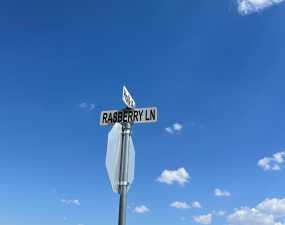 12522 Rasberry Lane (2)
