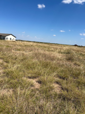 12522 Rasberry Lane (4)