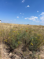 12522 Rasberry Lane (5)