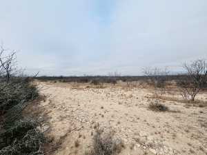 11993 Twin Lakes Lane (9)