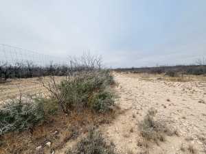 11993 Twin Lakes Lane (10)