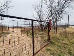 11993 Twin Lakes Lane (2)