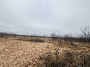 11993 Twin Lakes Lane (3)