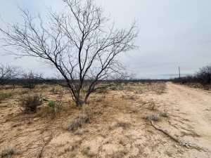 11993 Twin Lakes Lane (4)