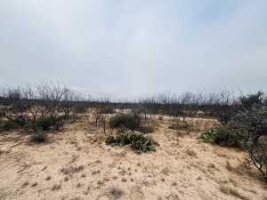 11993 Twin Lakes Lane (5)