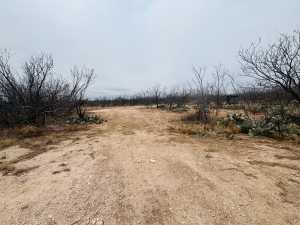 11993 Twin Lakes Lane (6)