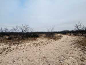 11993 Twin Lakes Lane (7)