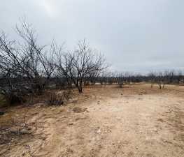 11993 Twin Lakes Lane (11)