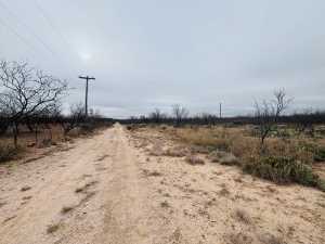 11993 Twin Lakes Lane (8)