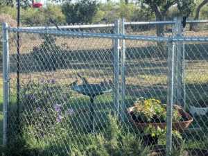 60 Loch Lomond Rd (67)