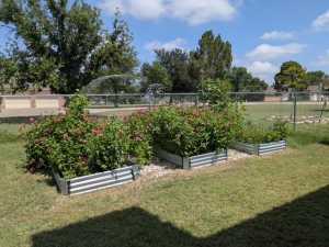 60 Loch Lomond Rd (68)