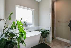 211 Calypso Lane (20)